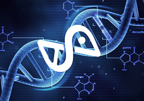 科学家发现CAS9酵素，能消除缺陷基因，有望修复成好胚